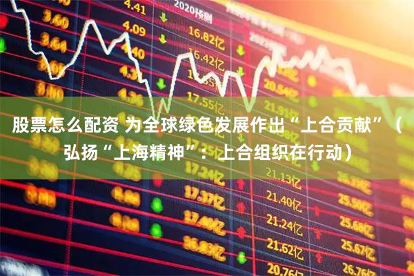 股票怎么配资 为全球绿色发展作出“上合贡献”（弘扬“上海精神”：上合组织在行动）