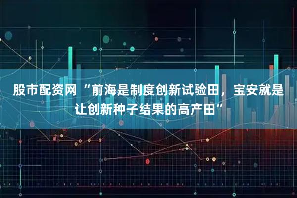 股市配资网 “前海是制度创新试验田，宝安就是让创新种子结果的高产田”