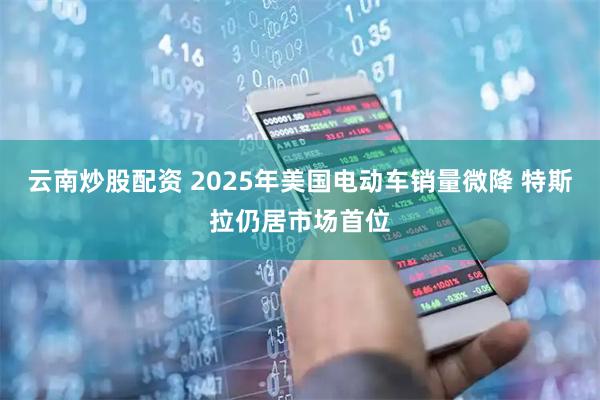 云南炒股配资 2025年美国电动车销量微降 特斯拉仍居市场首位